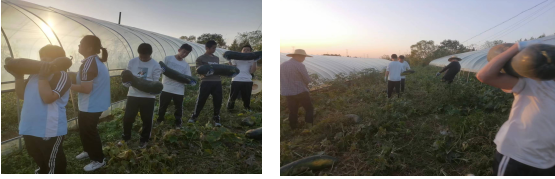 cfbdb819dbf9e6fc454e673cd62a5d5.png cfbdb819dbf9e6fc454e673cd62a5d5.png