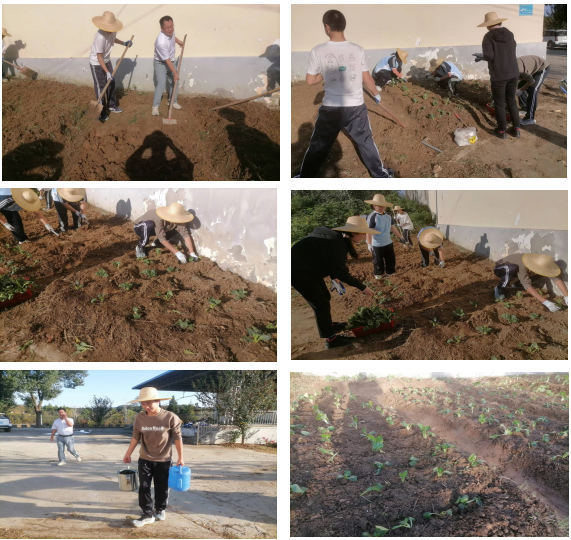 7b4e793bc2dcc5e6d323a9792b5dead.png 7b4e793bc2dcc5e6d323a9792b5dead.png