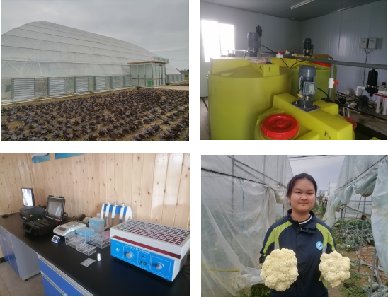 684ac8d4c45dd8c5238a12d666dbc16.png 684ac8d4c45dd8c5238a12d666dbc16.png