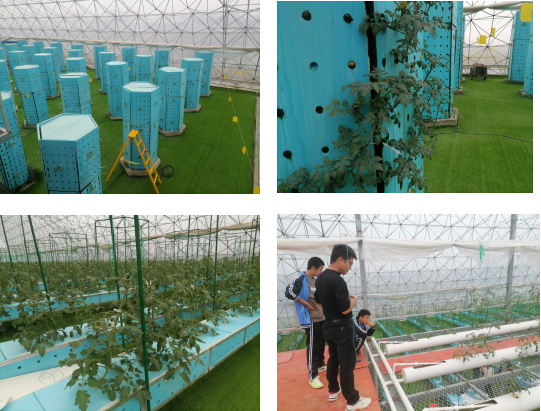 658ddc3455b249929a0e885a1ad8ea6.png 658ddc3455b249929a0e885a1ad8ea6.png