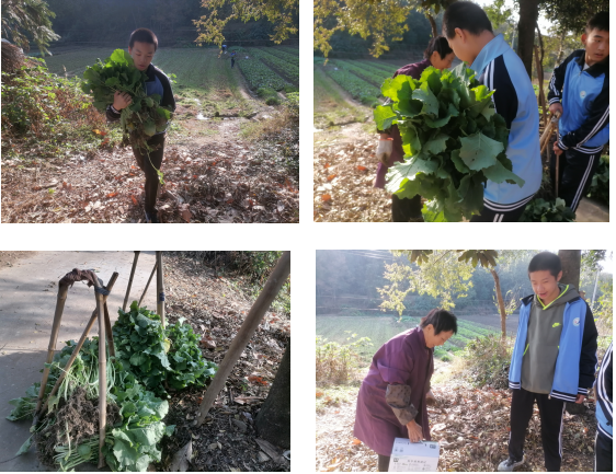 6d5ab362283d795b7598b71800d924a.png 6d5ab362283d795b7598b71800d924a.png