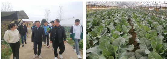 53139f816525fc08dc443b7455cae62.png 53139f816525fc08dc443b7455cae62.png