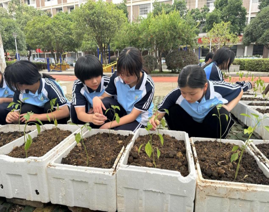 11dd7f39671717dcdde9c288837f759.png 11dd7f39671717dcdde9c288837f759.png