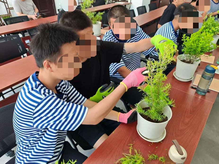 图片7.png 图片7.png